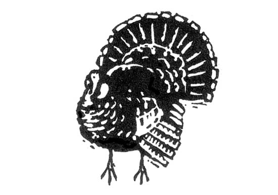 
Turkey has become the traditional Thanksgiving Day meal.
